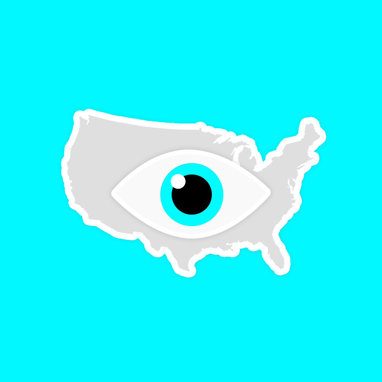 America’s Views on Surveillance Advertising